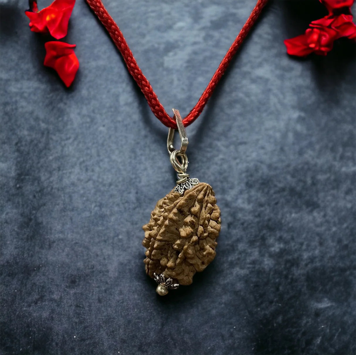 2 Mukhi Rudraksha – Unity, Love Harmony & Relationship Healing Bead