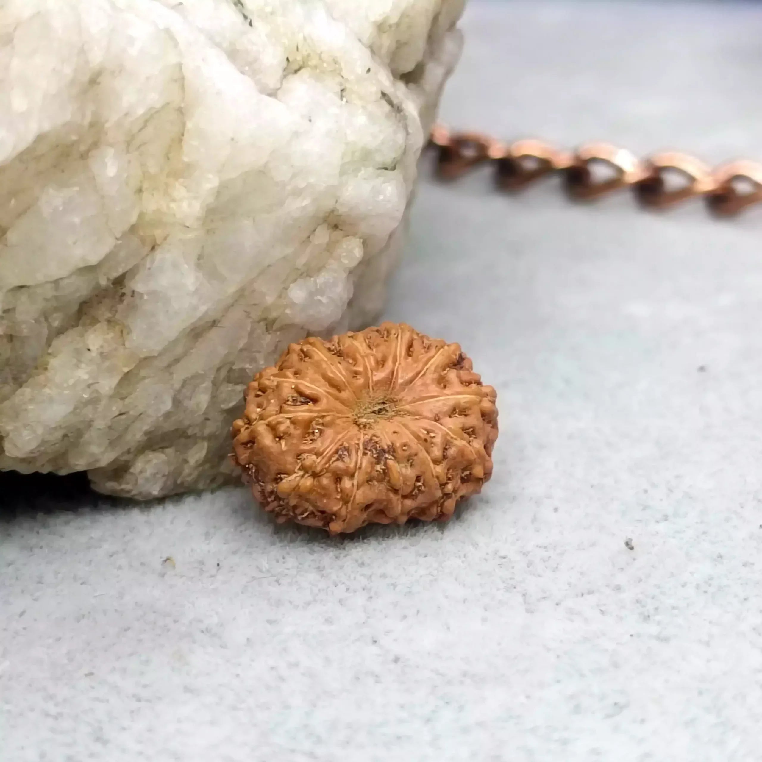 12 Mukhi Rudraksha – Surya Shakti for Leadership, Confidence & Authority
