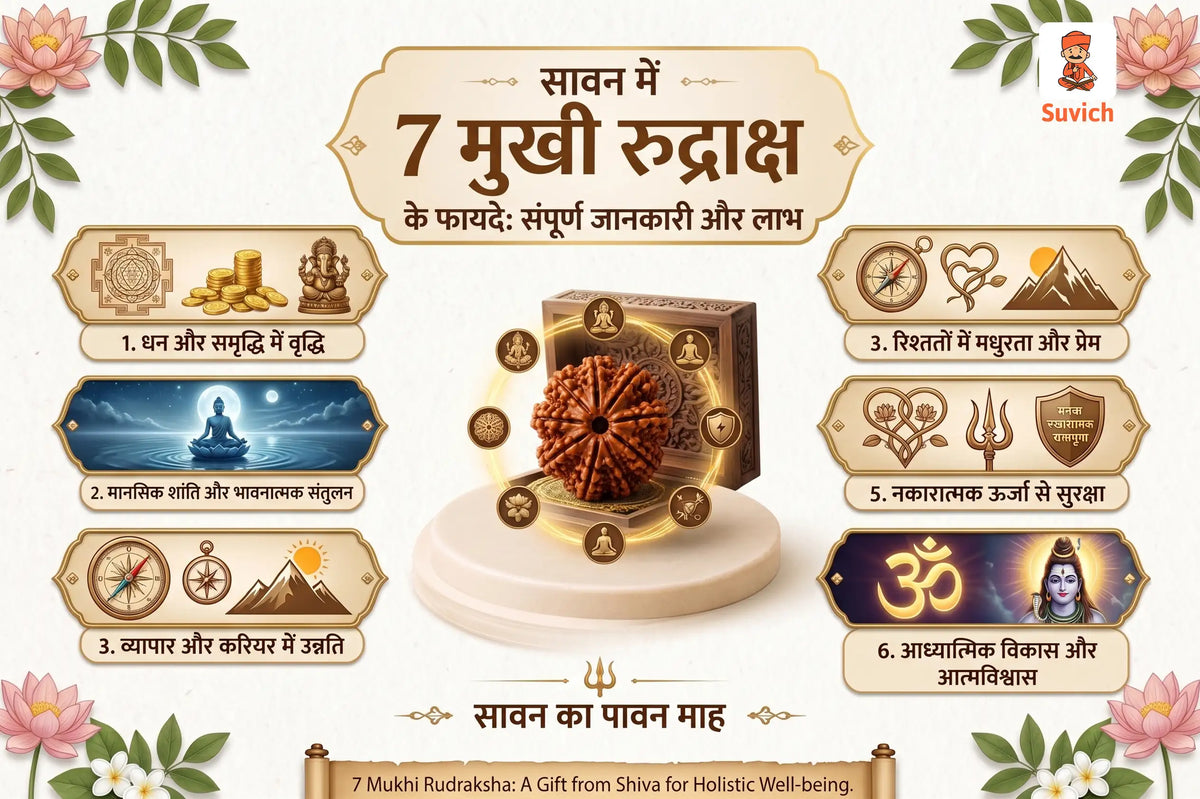प्रमाणित 7 मुखी रुद्राक्ष | Suvich Store – The Real Astrology