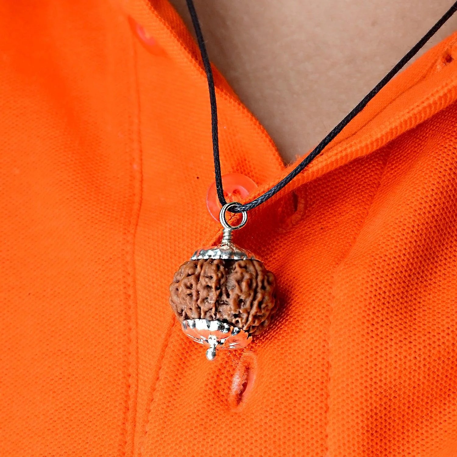 5 Mukhi Rudraksha