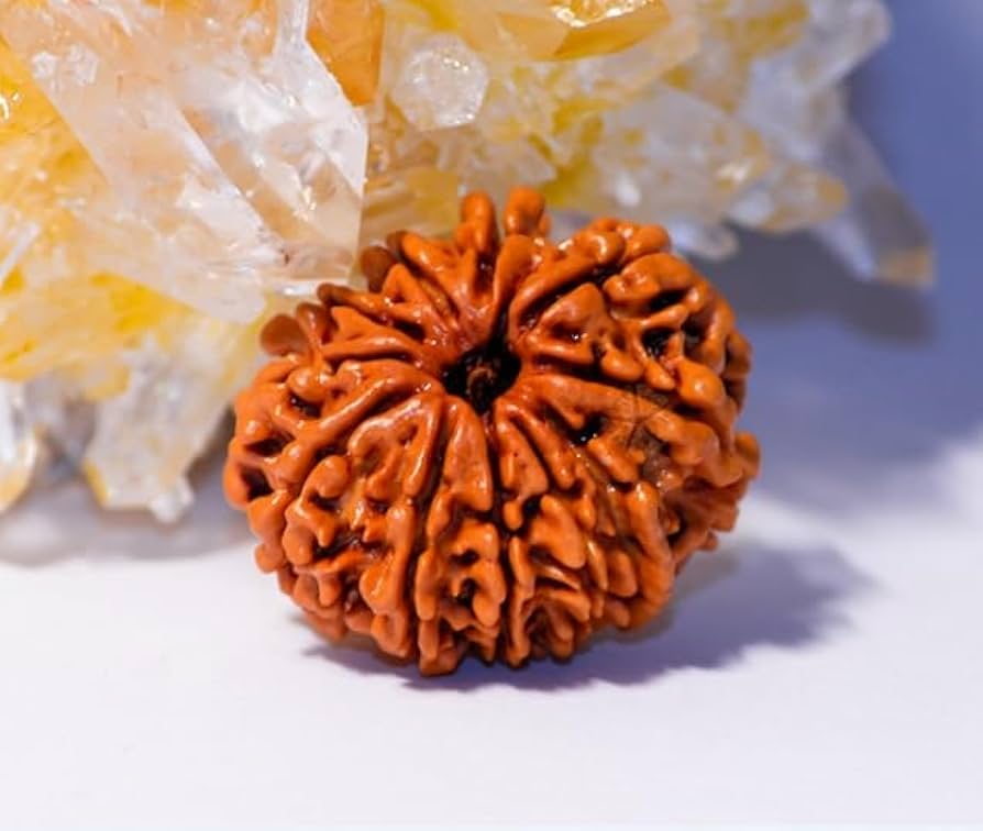 10 Mukhi Rudraksha