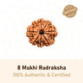 8 Mukhi Rudraksha